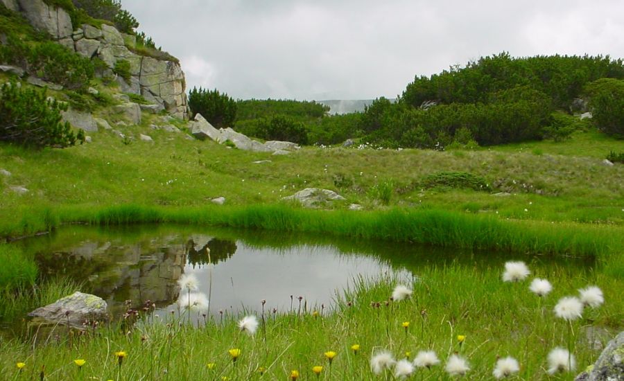 Rila Mountains of Bulgaria