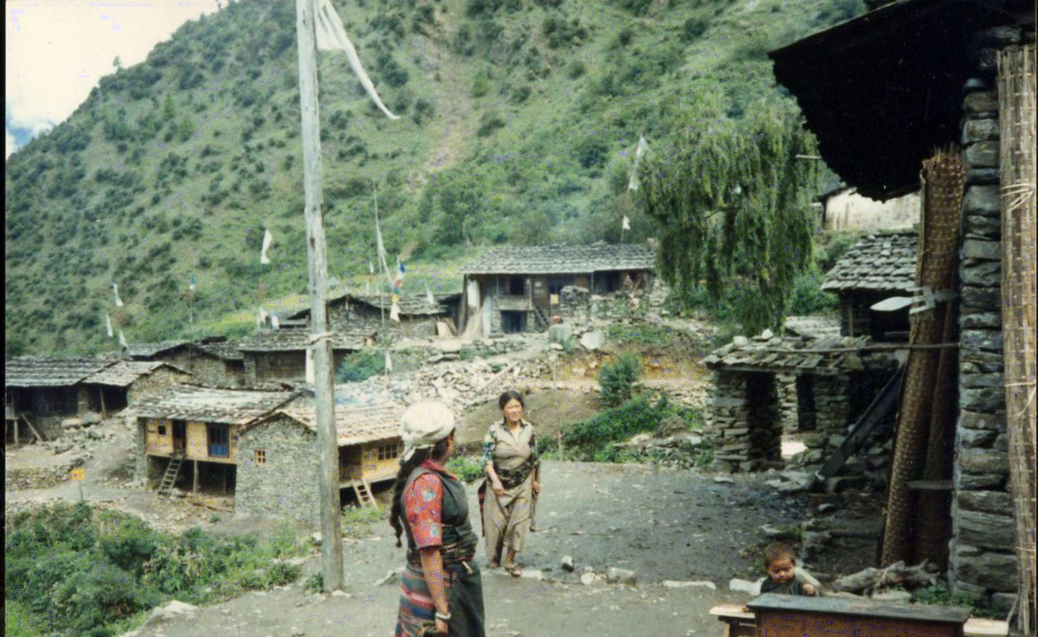 Khangjung Village above the Langtang Valley