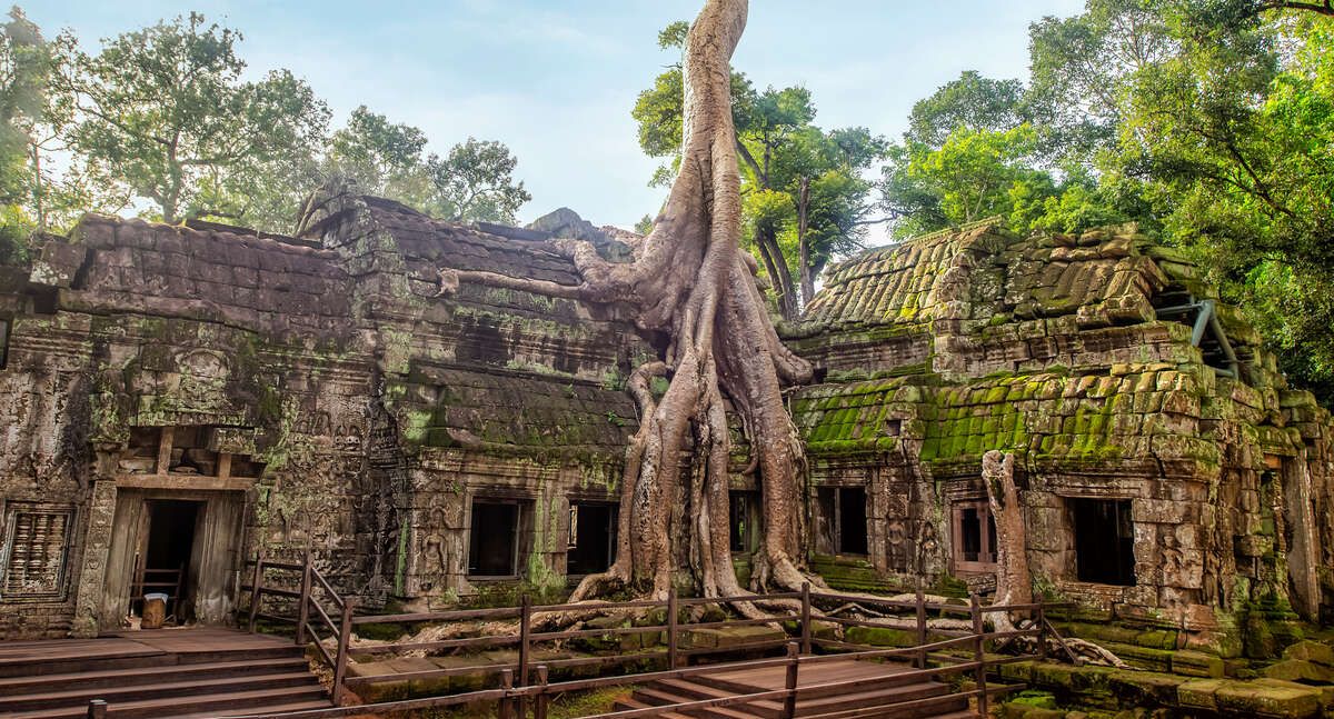 Tree Roots overgrowing Ta Prohm Temple at Siem Reap in northern Cambodia