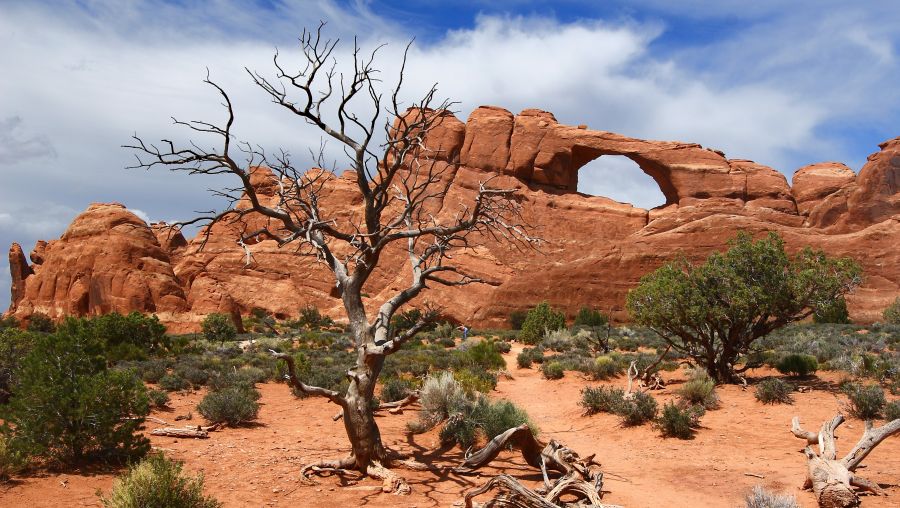 Skyline Arch in Arches National Park