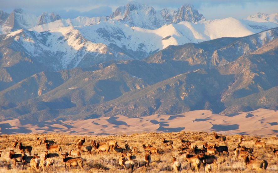 Sangre de Cristo mountains from the Great Sand Dunes Colorado National Monument