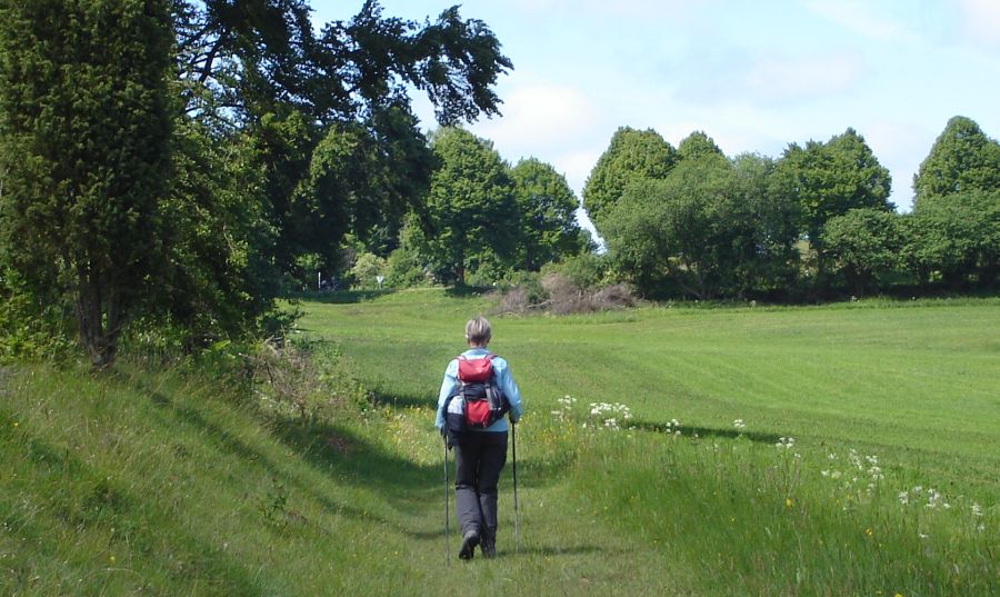 Walking trail in the Eifel Region of Germany