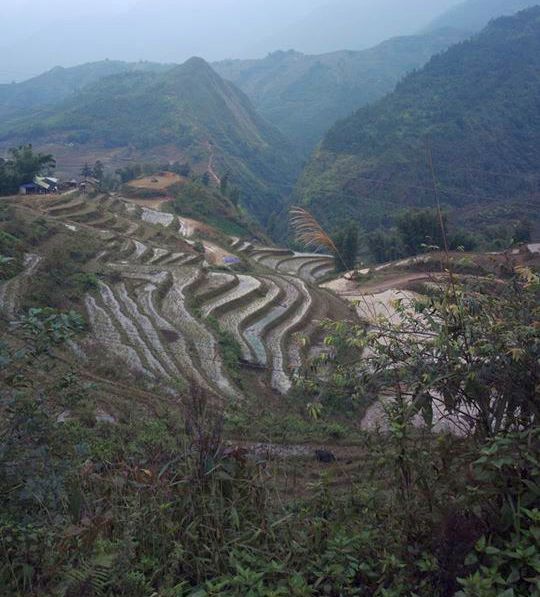 Terraced Landscape near Sa Pa in Lao Cai Province of Northern Vietnam