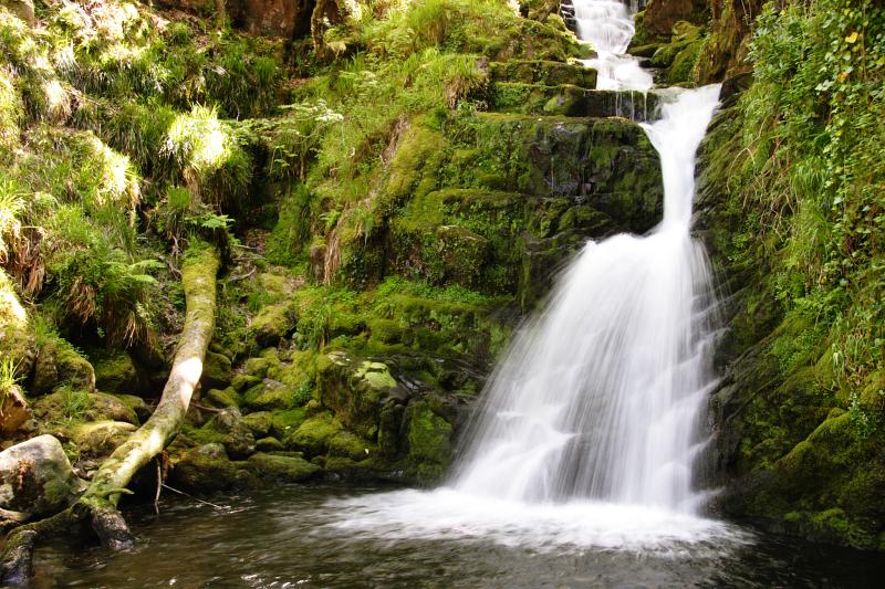 O' Sullivan's Cascade in Killarney National Park in Southwestern Ireland