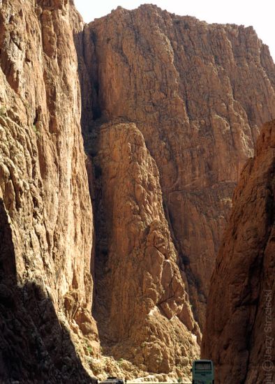 Todra Gorge in the sub-sahara