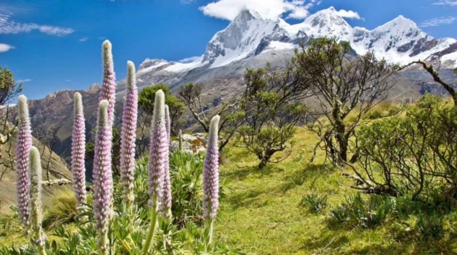 Huandoy in the Peruvian Andes