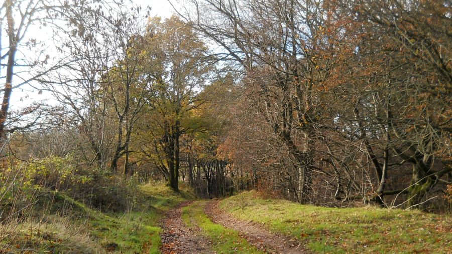 Public path through White Yett Glen to Balfron Bowling Green