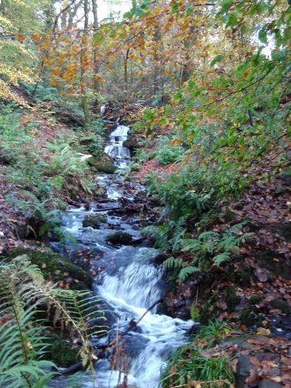 Waterfalls in Fairy Glen in Balloch Country Park