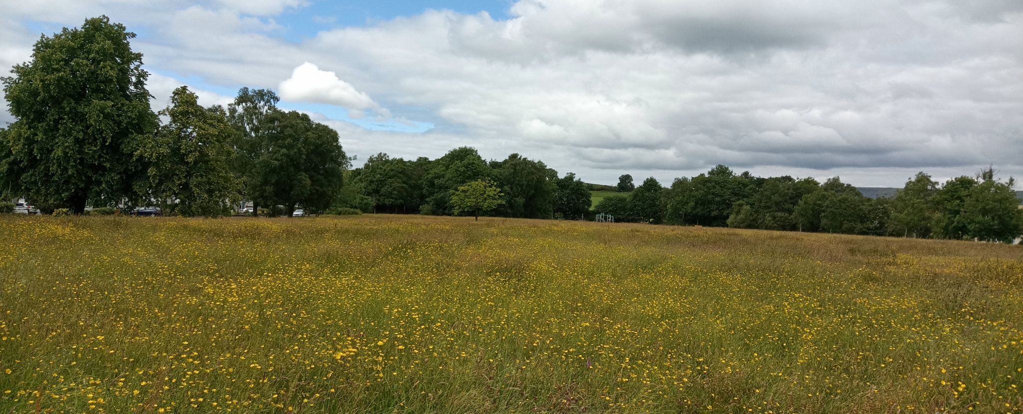 Field at Mosshead in Bearsden