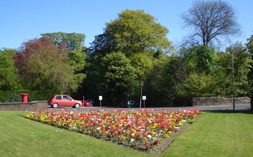 Flower Bed in Bearsden