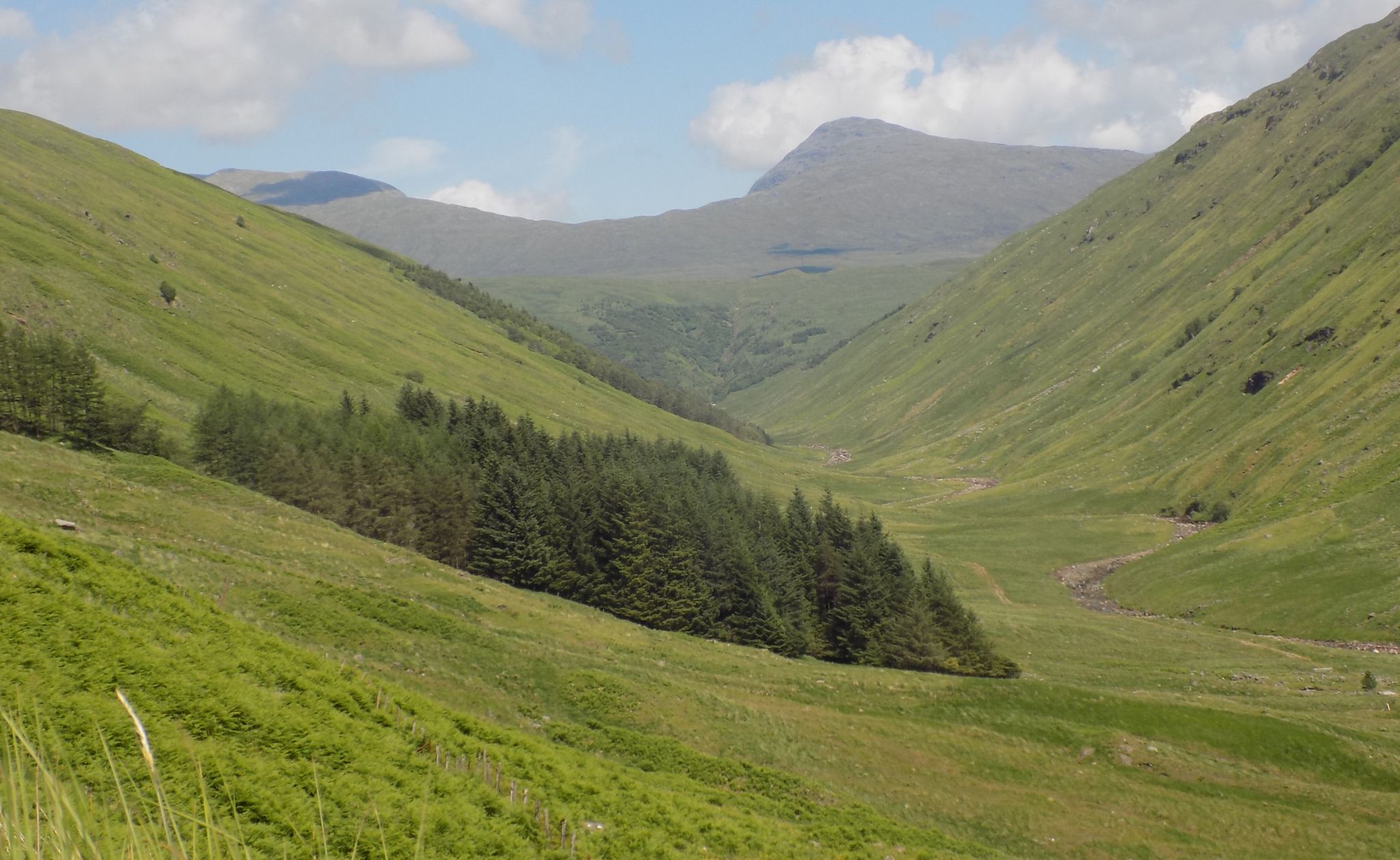 Beinn Bhuidhe ( 3110ft, 948m ) on descent from Meall an Fhudair