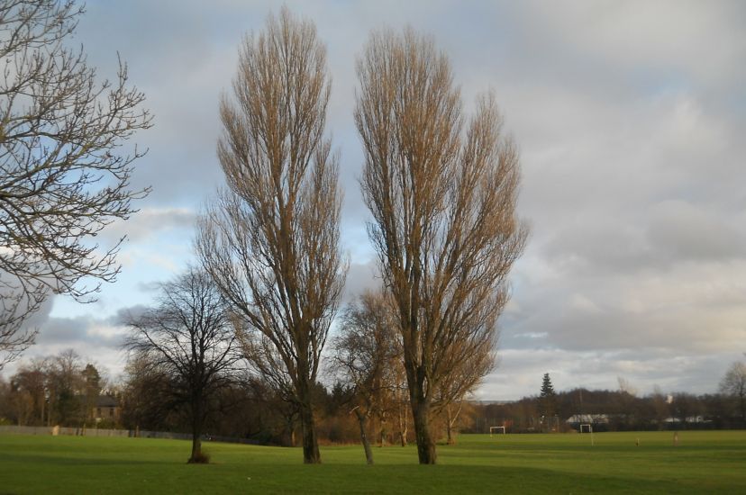 Park in Blantyre