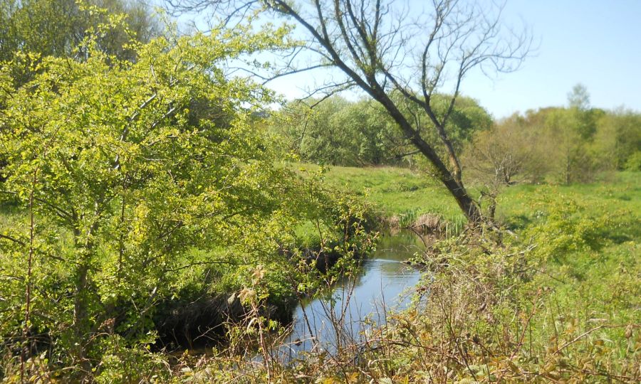 Brock Burn in the Darnley Mill area of Dams to Darnley Country Park