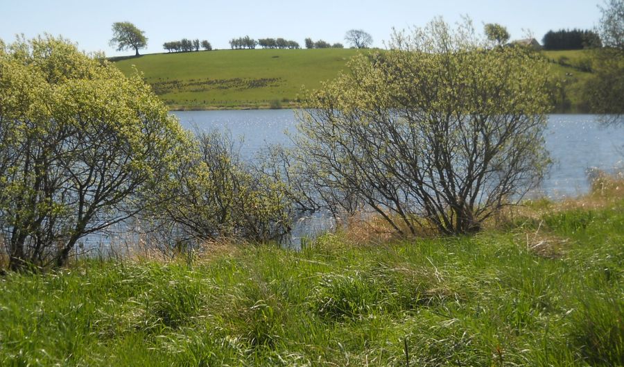 Balgray Reservoir