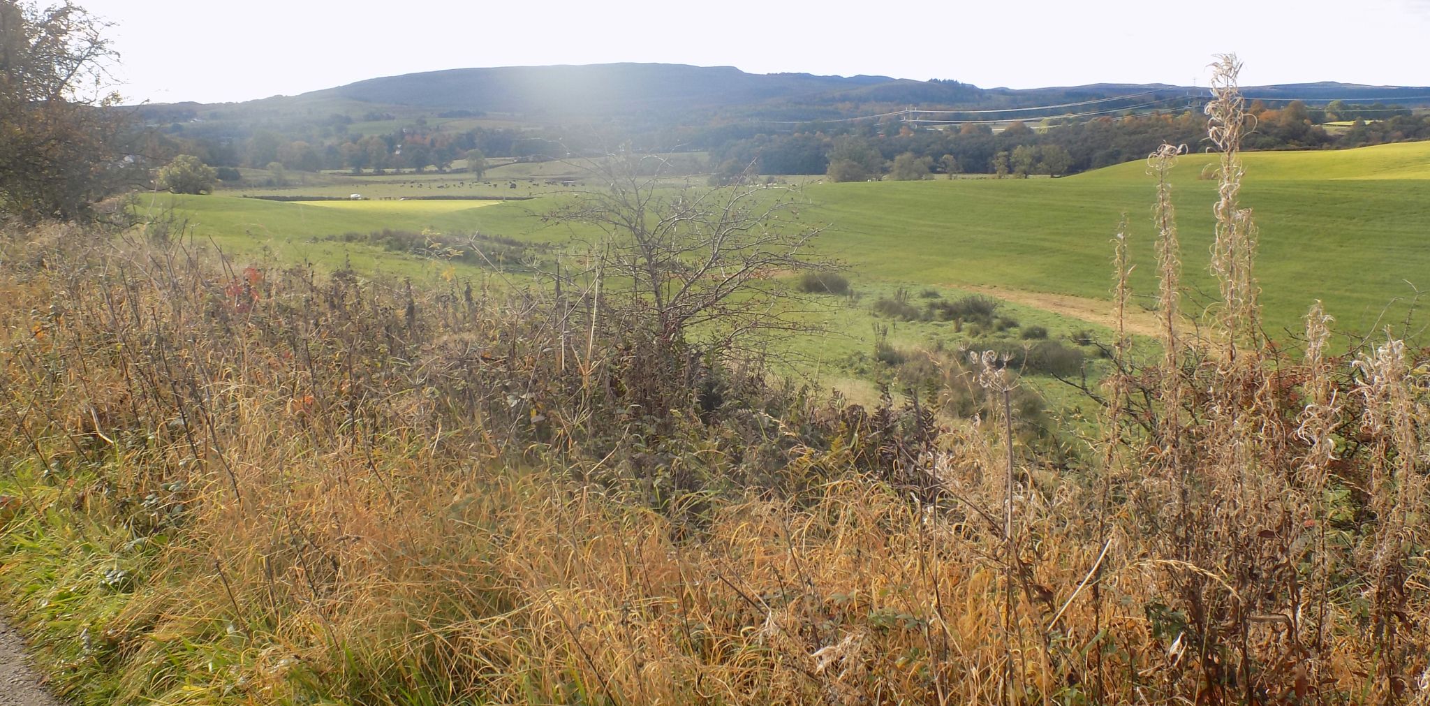 The West Highland Way - Kilpatrick Hills