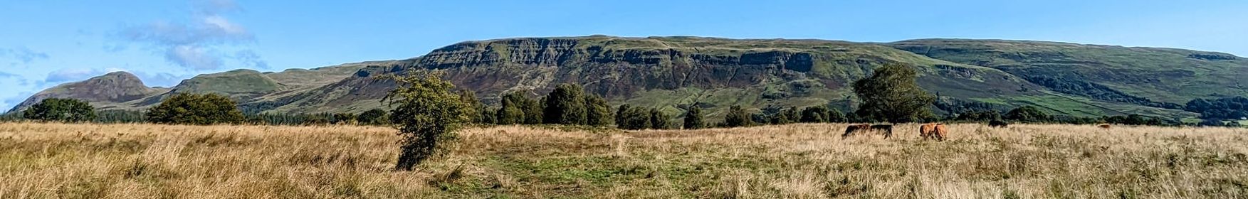 Campsie Fells