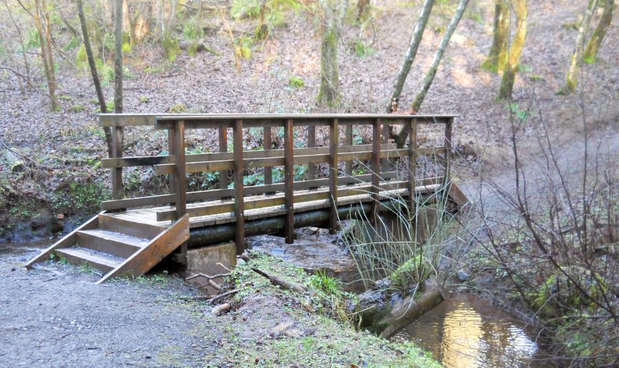 Footbridge on Path from Edinbarnet House to Cochno Road