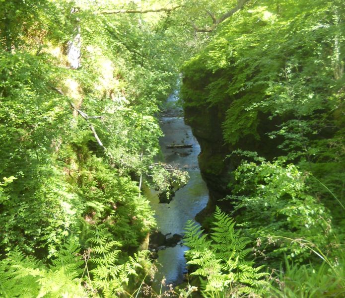 Gorge of Carnoch Burn in Finnich Glen