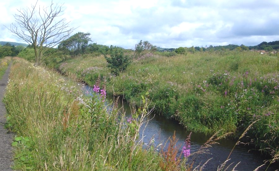 Allander River