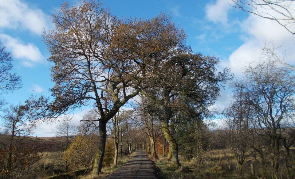 Track to Kilmannan Reservoir