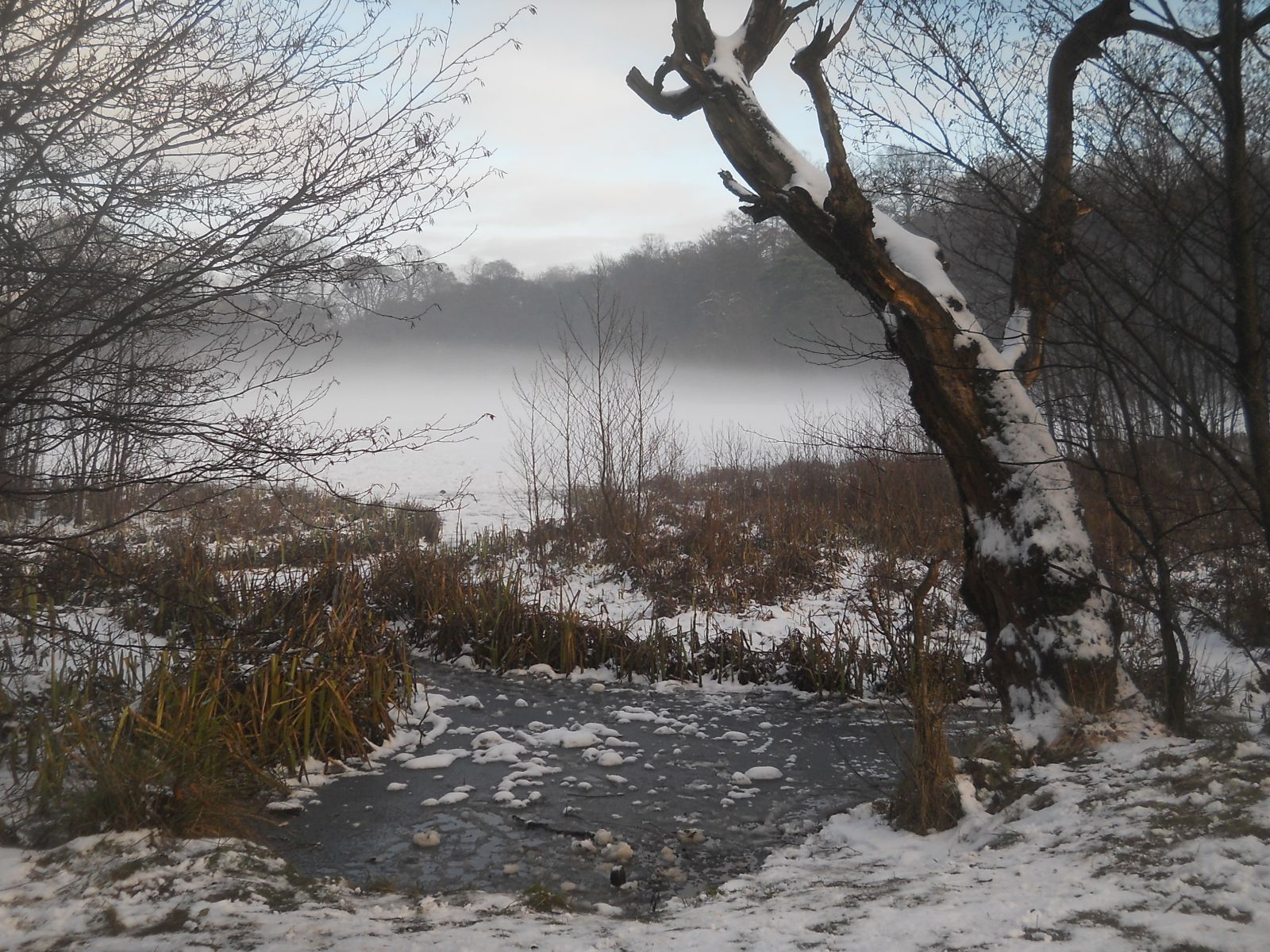 Winter snow scene at Kilmardinny Loch in Bearsden