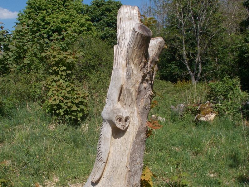 Owl wood carving