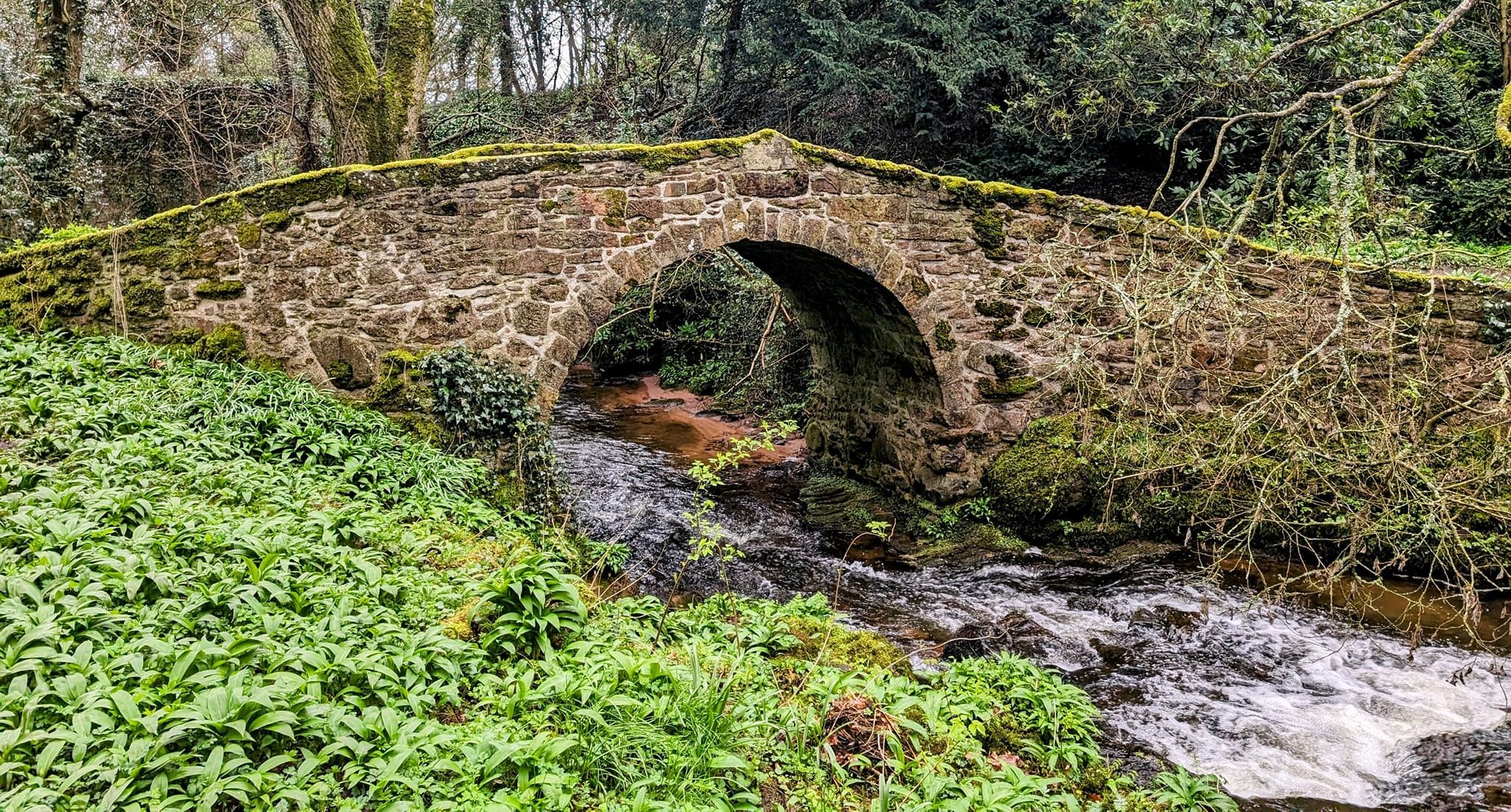 Bridge over Leckie Burn