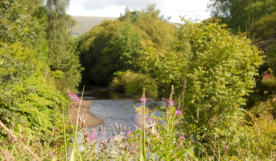 Confluence of Glazert Water and the Kelvin River