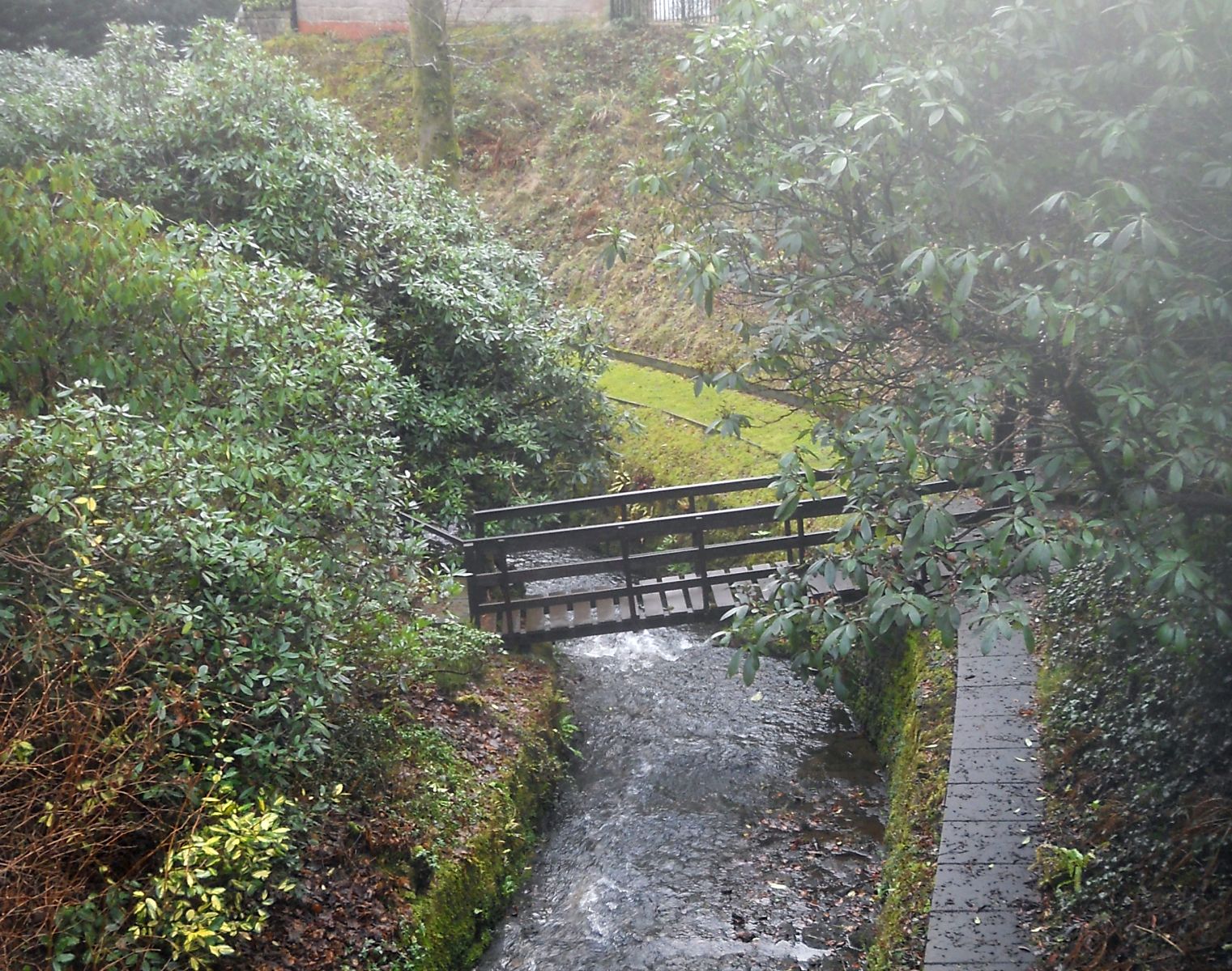 Manse Burn at Ralston Road in Bearsden