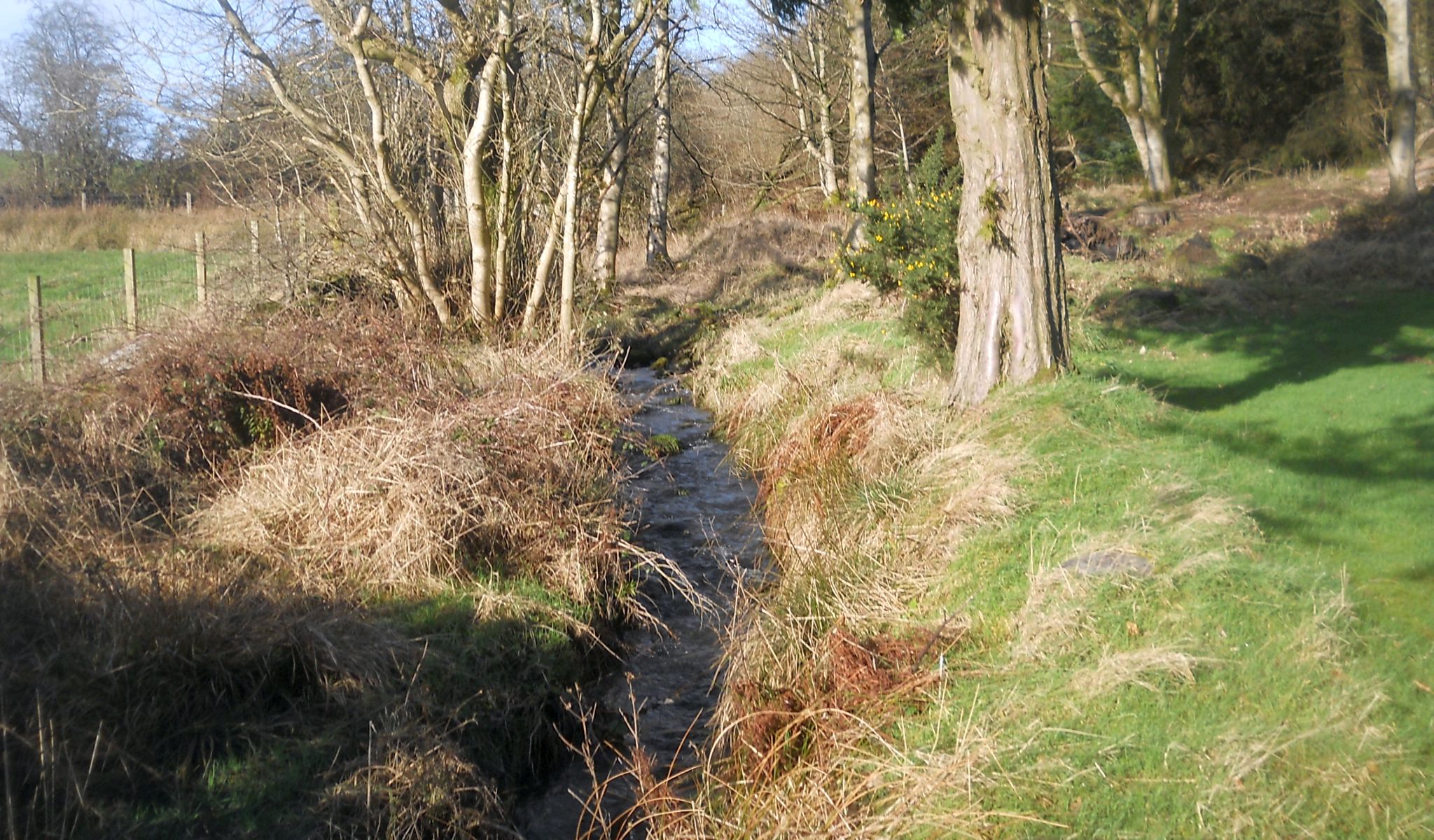 Manse Burn at Windyhill Golf Course in Bearsden