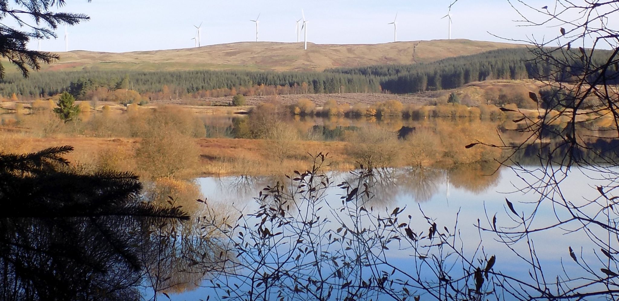 Meikle Bin in the Campsie Fells