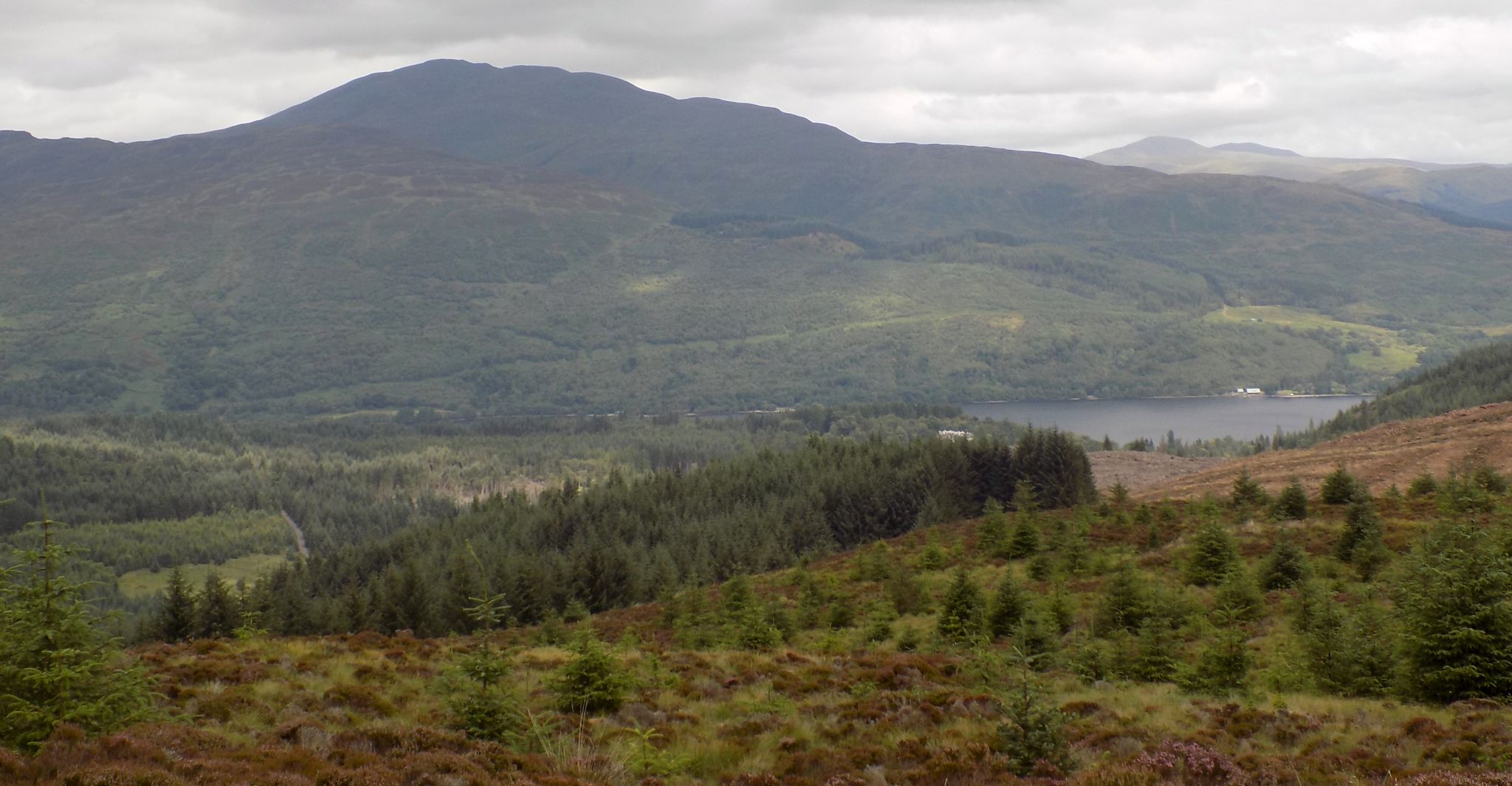 Ben Venue from the Menteith Hills above Braeval Forest