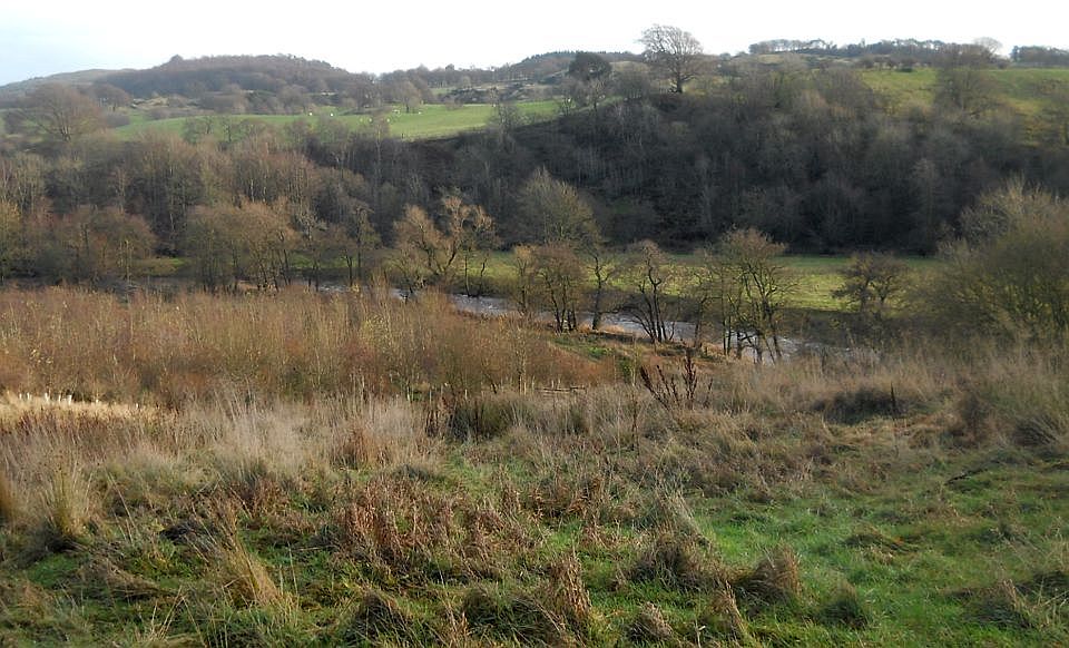 River Avon in Muiravonside Country Park