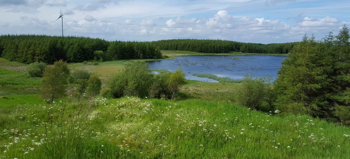 Craighall Reservoir