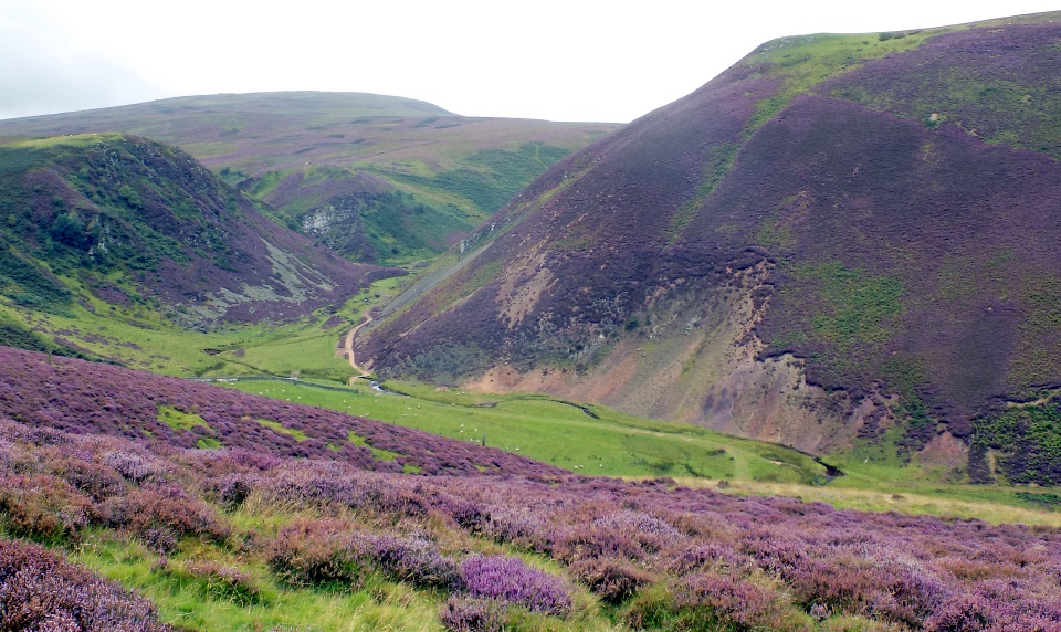 Path through Green Cleuch