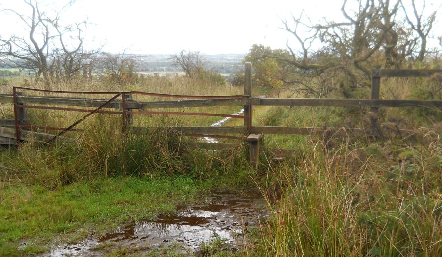 Style on the Mealybrae Path