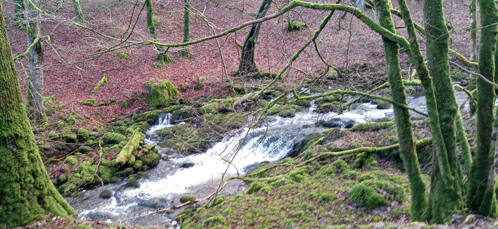 Waterfalls on Touch Burn