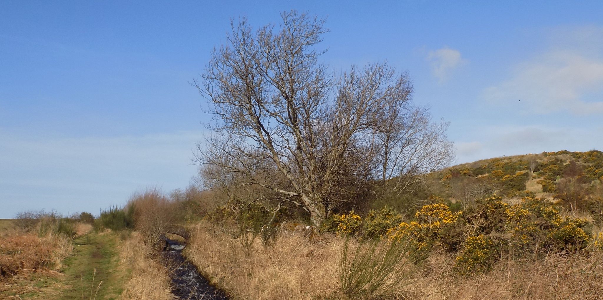 Approach to Whinhill Reservoir