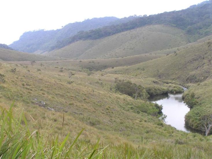 Horton Plains National Park in the Hill Country of Sri Lanka